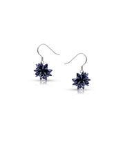 Black Crystal Earrings